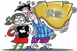 大埔大埔的要账公司在催收过程中的策略和技巧有哪些？